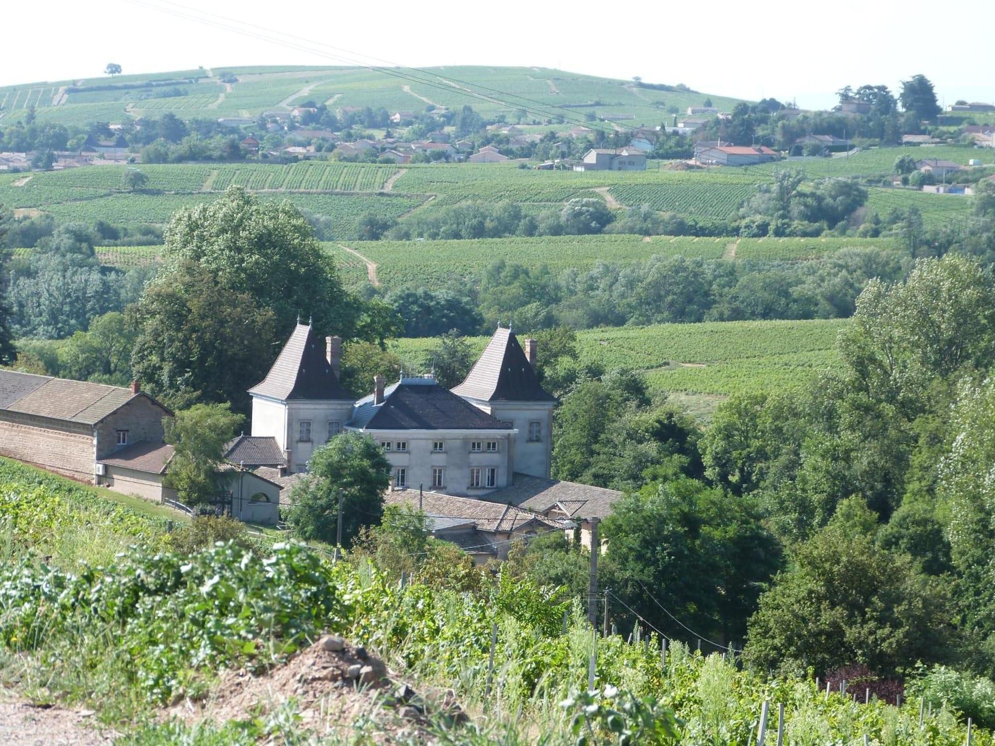 Logis Hotel Des Grands Vins 弗勒里 外观 照片